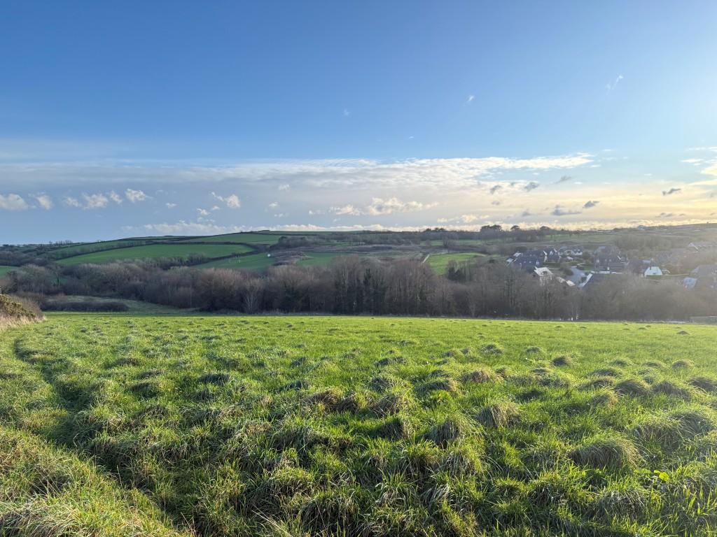 View of land