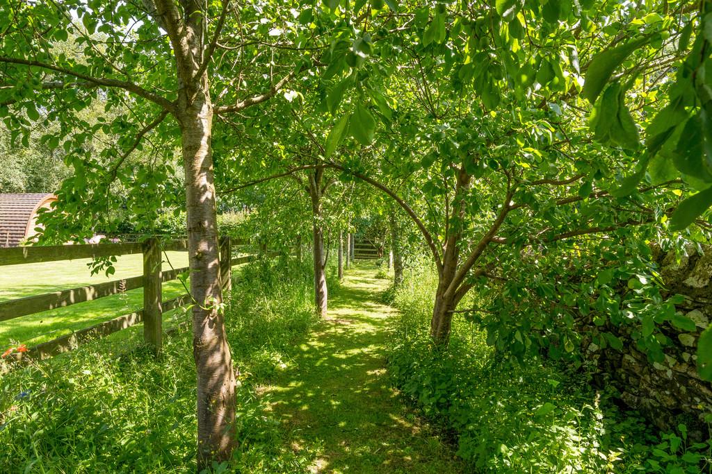 Orchard