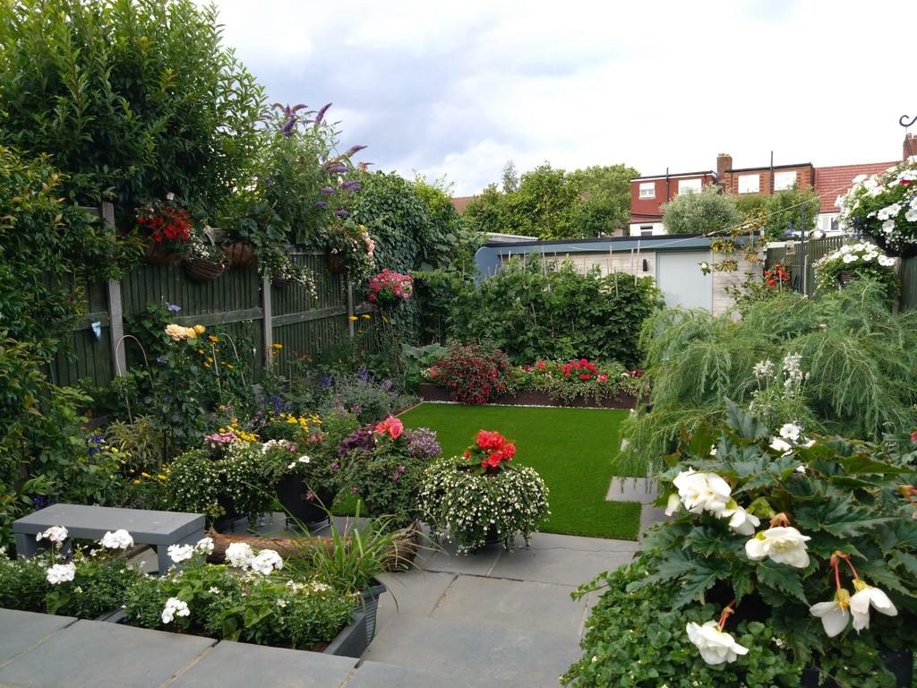 Garden in Summer
