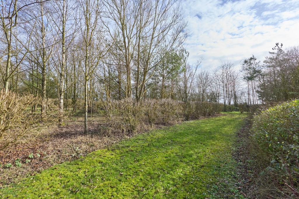 7 Clopton Park 2302260050