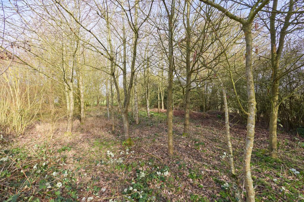 7 Clopton Park 2302260052