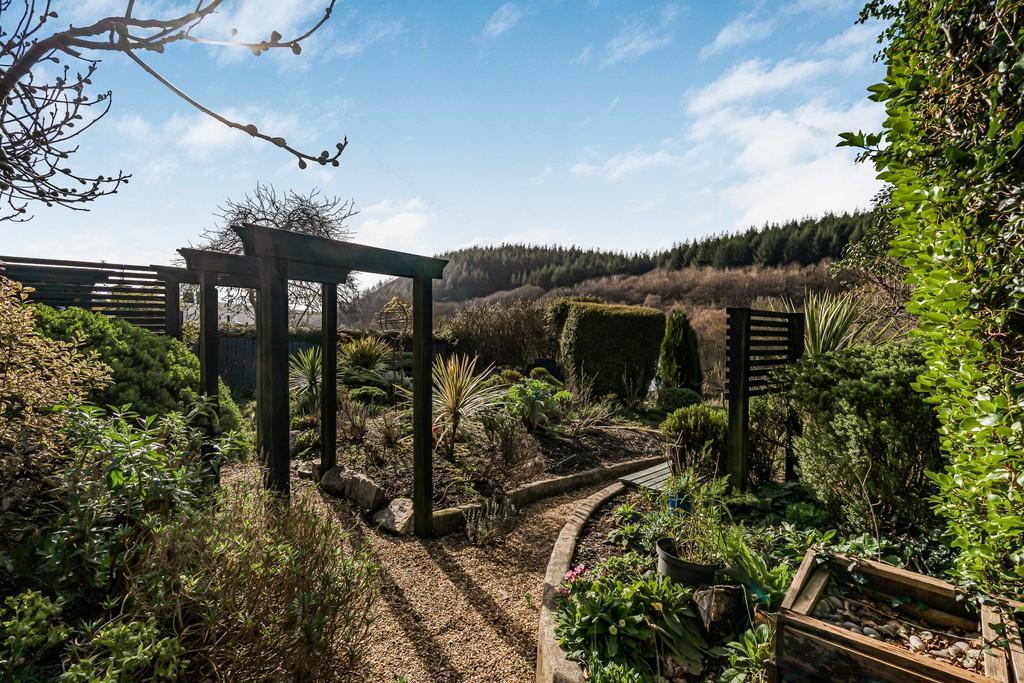 Garden (7)