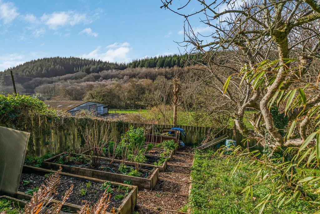 Vegtable patch