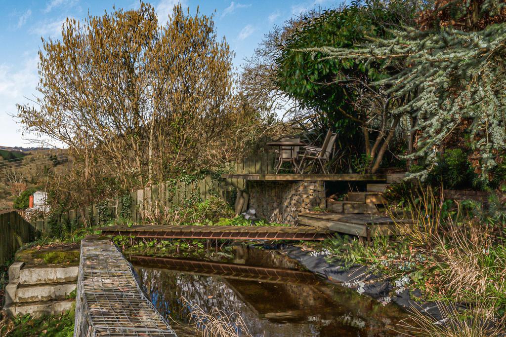 Pond