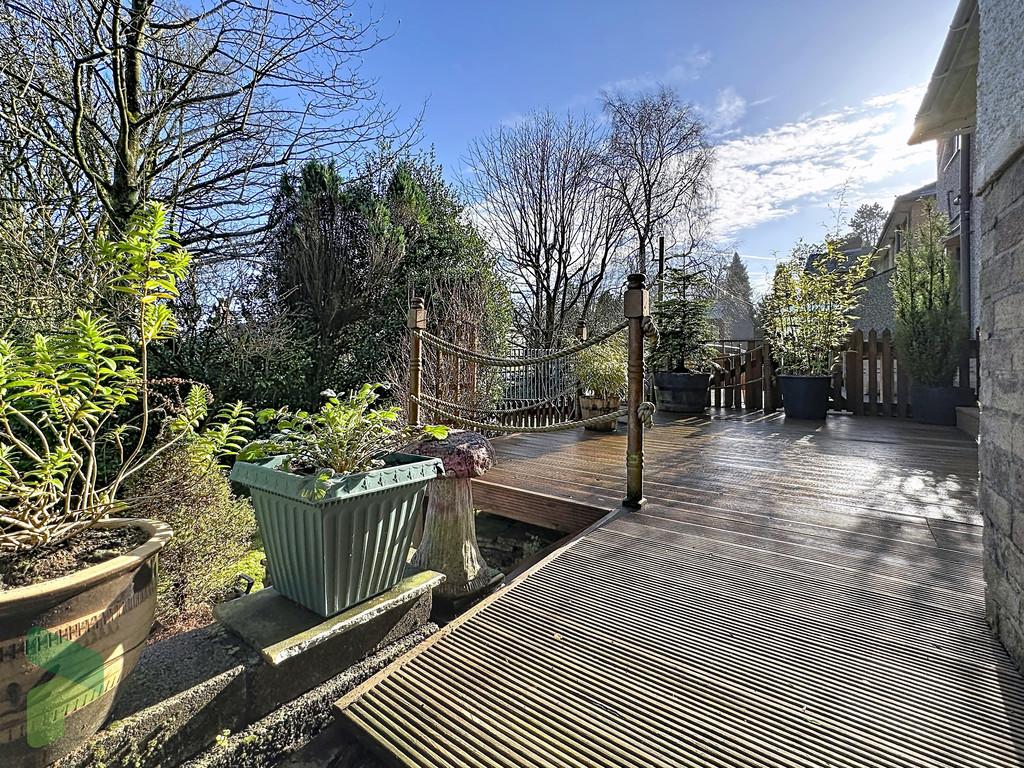 Rear patio and garden