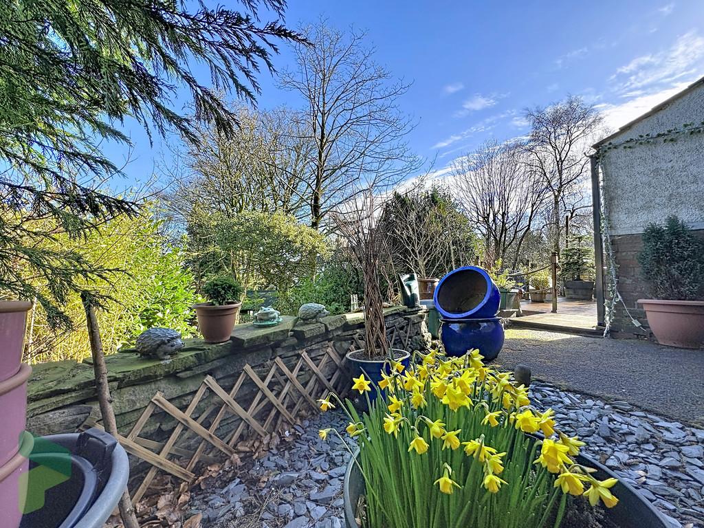 Rear garden