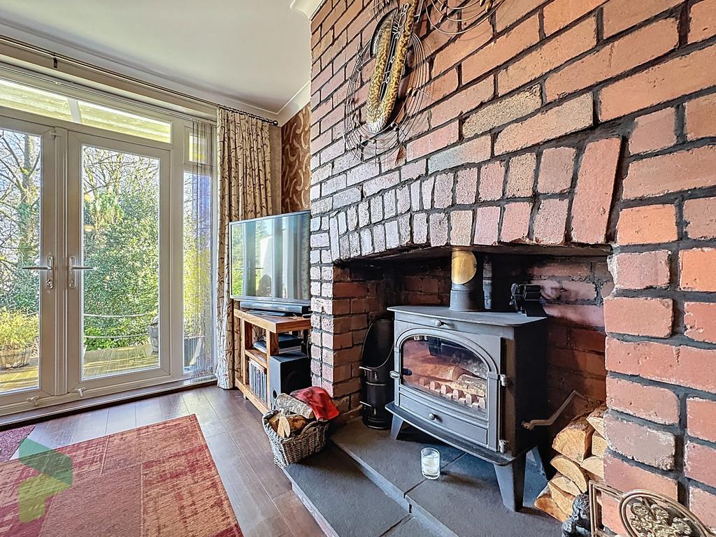 Living room multi fuel burner
