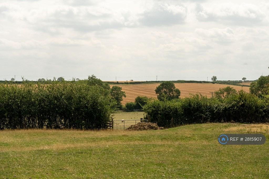 Field Views