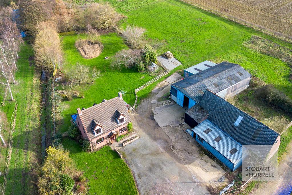 From Above Front