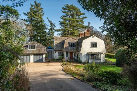 undefined, Deepdene Wood, Dorking, Surrey, RH5
