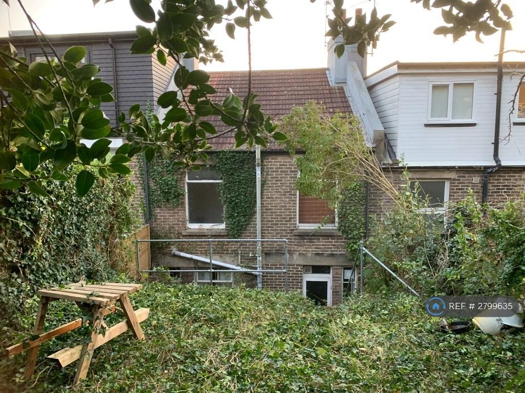 Back Garden