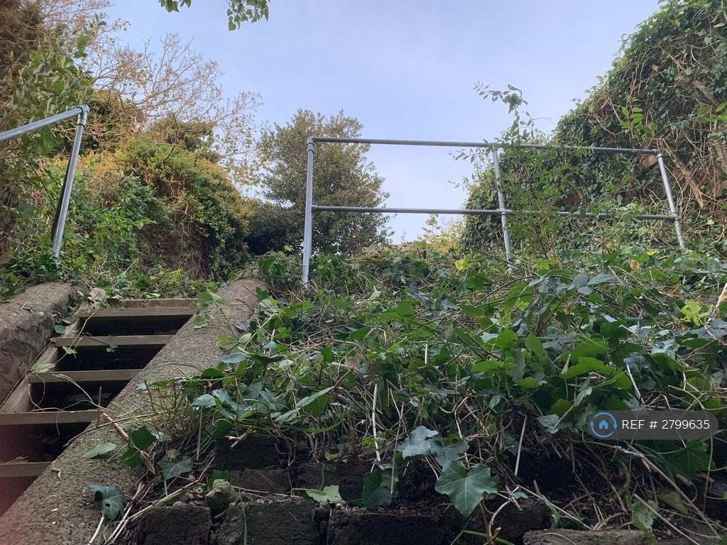 Back Garden