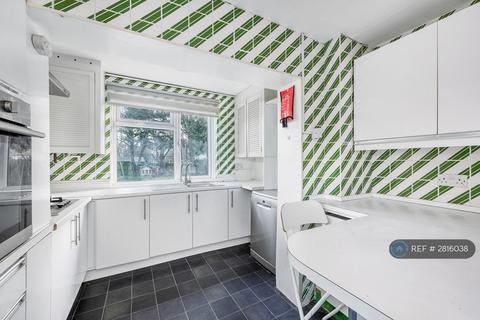 4 bedroom semi-detached house to rent, Foxglove Street, London, W12