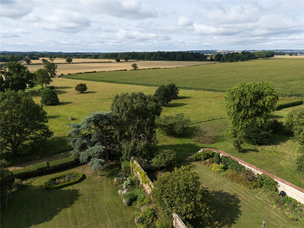 Garden and View