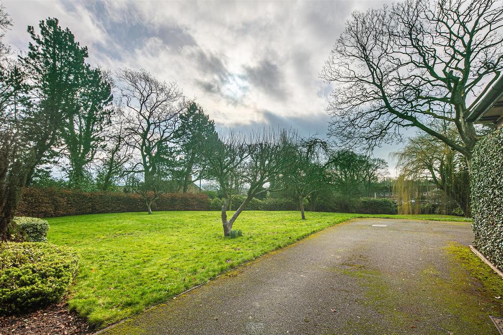 Drive and garden