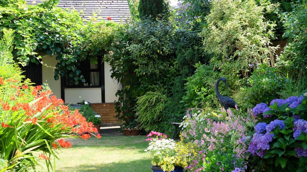 Owner Image - Summer Garden