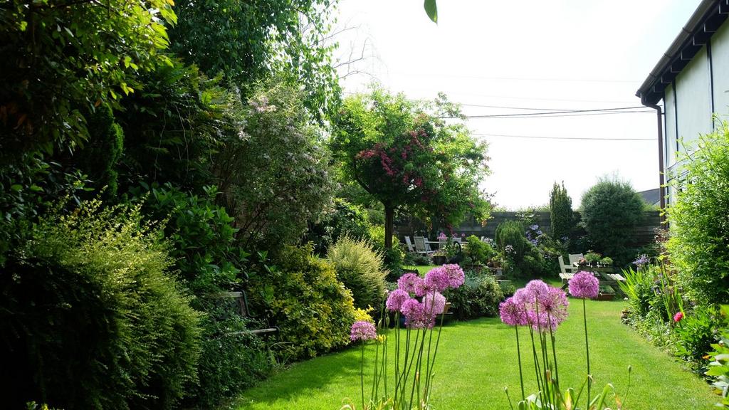 Owner Image - Summer Garden