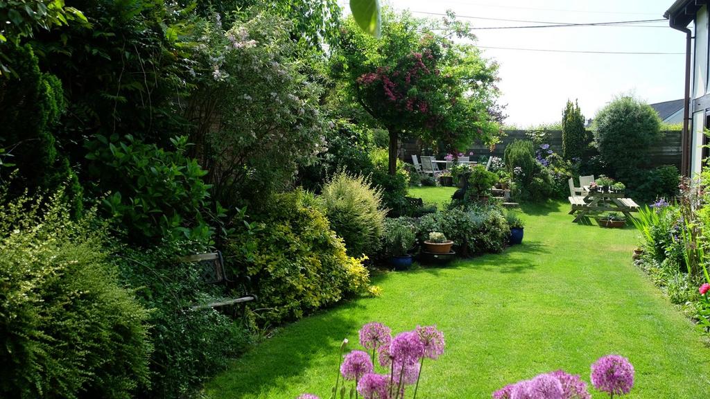 Owner Image - Summer Garden