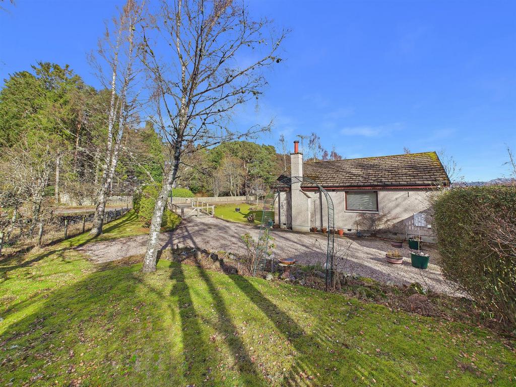 Garden &amp; Driveway