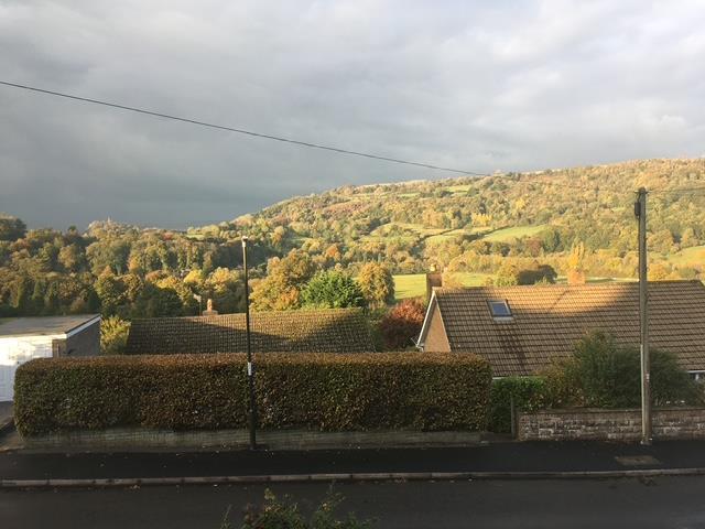 Sunlit hillside.jpg