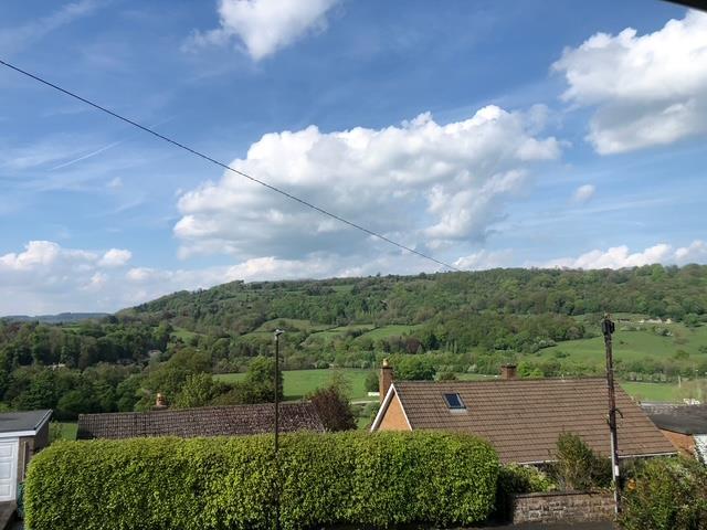 View to hillside.jpg