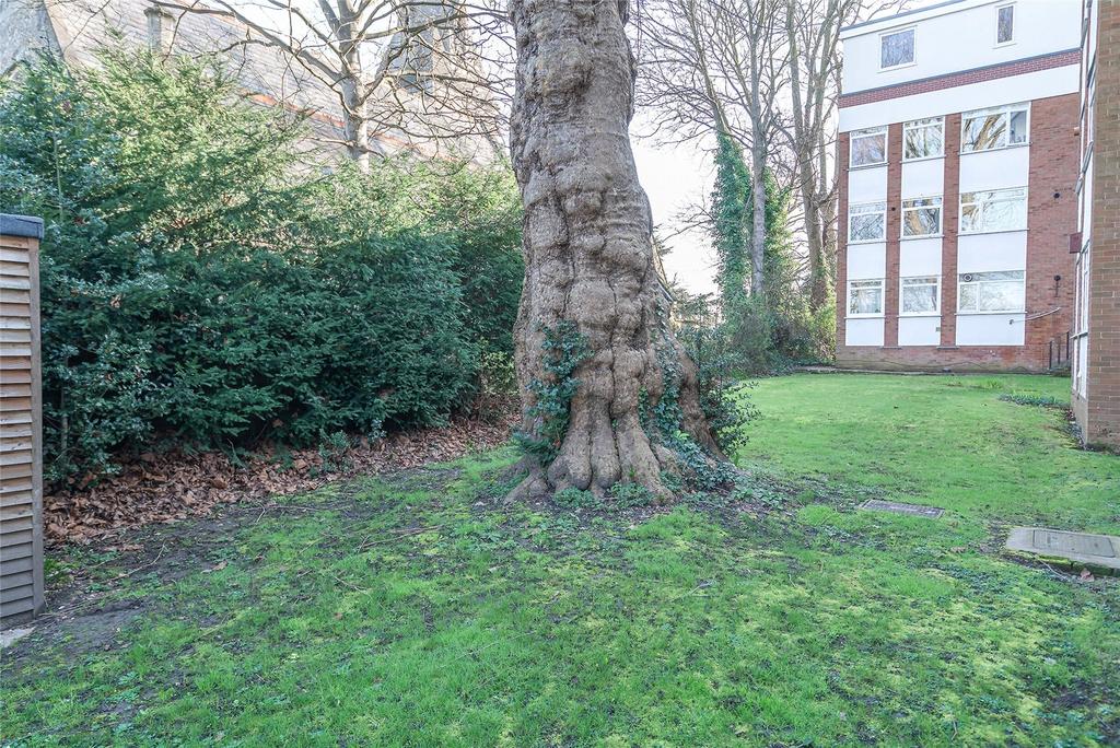 Communal Gardens B