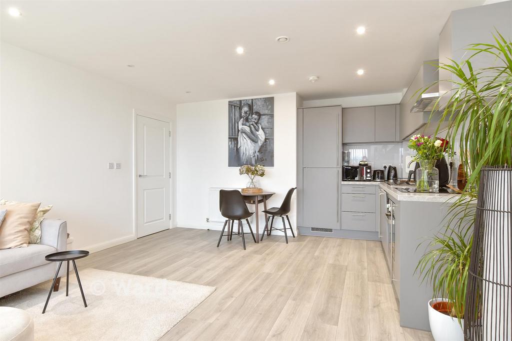 Kitchen/Lounge/ Dining Area