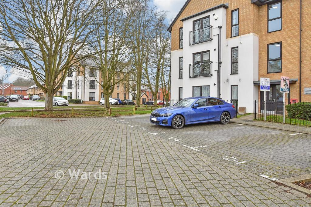 Driveway/Parking