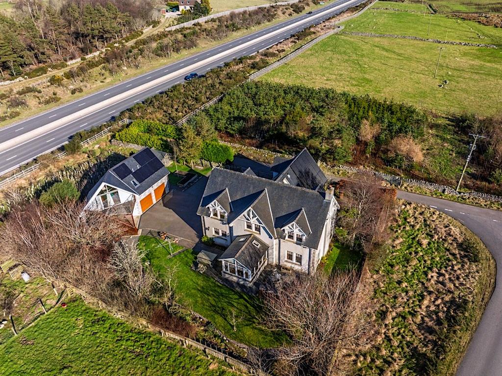 Aerial Image