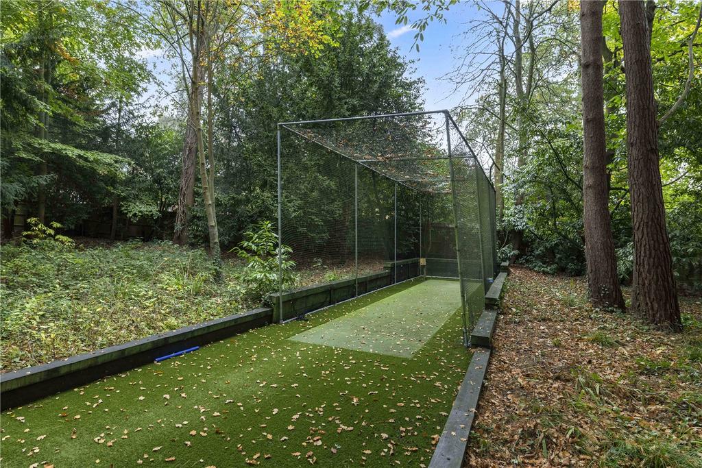 Cricket Net