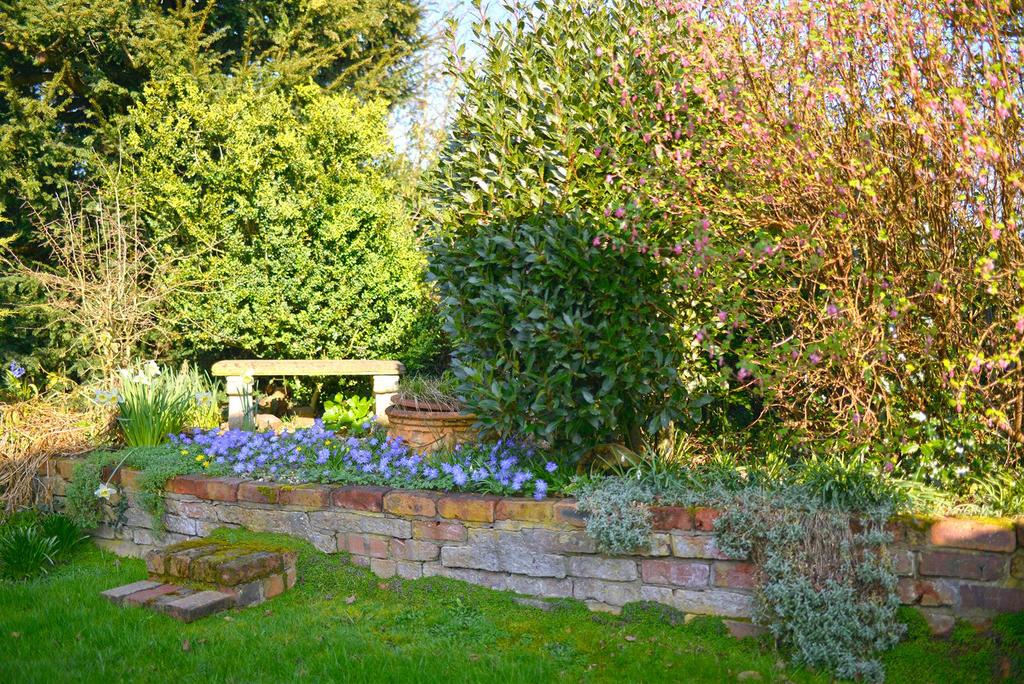  dsc7346.jpg