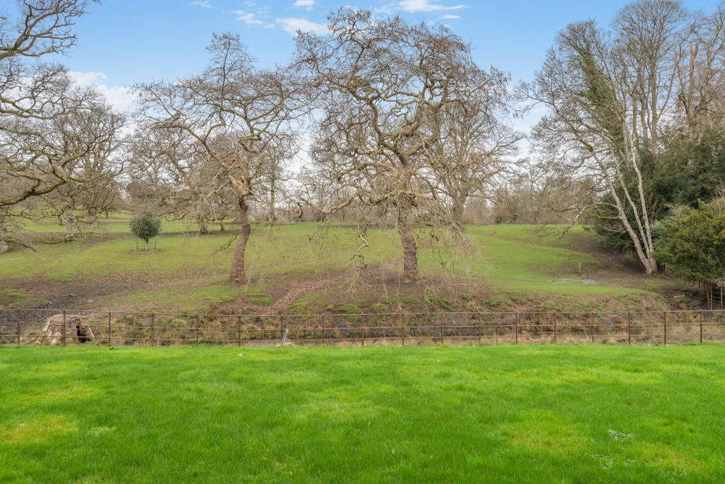 Garden/View
