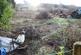 Additional image 19 of The Cliff, Tansley, Matlock, Derbyshire, DE4 5FY