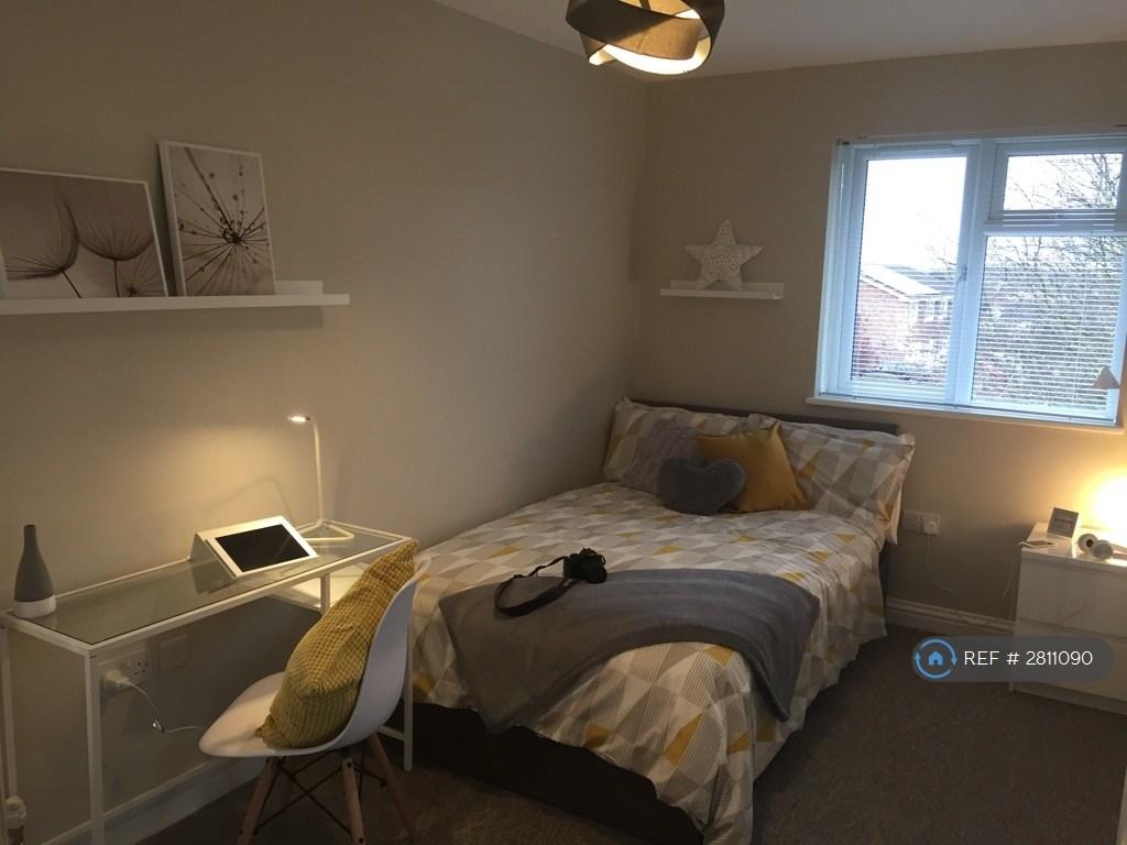Large Bright Modern Room