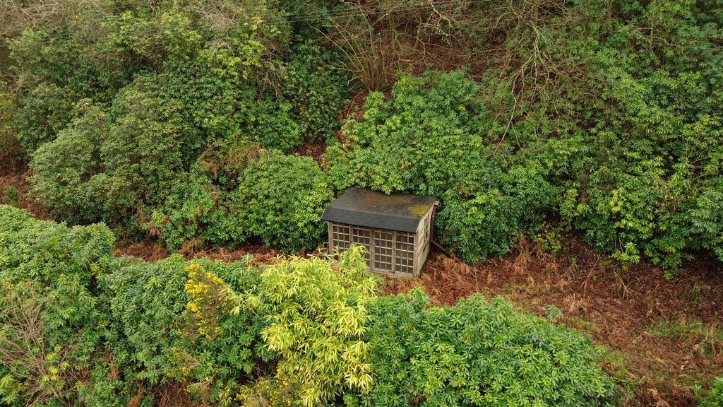 Summerhouse