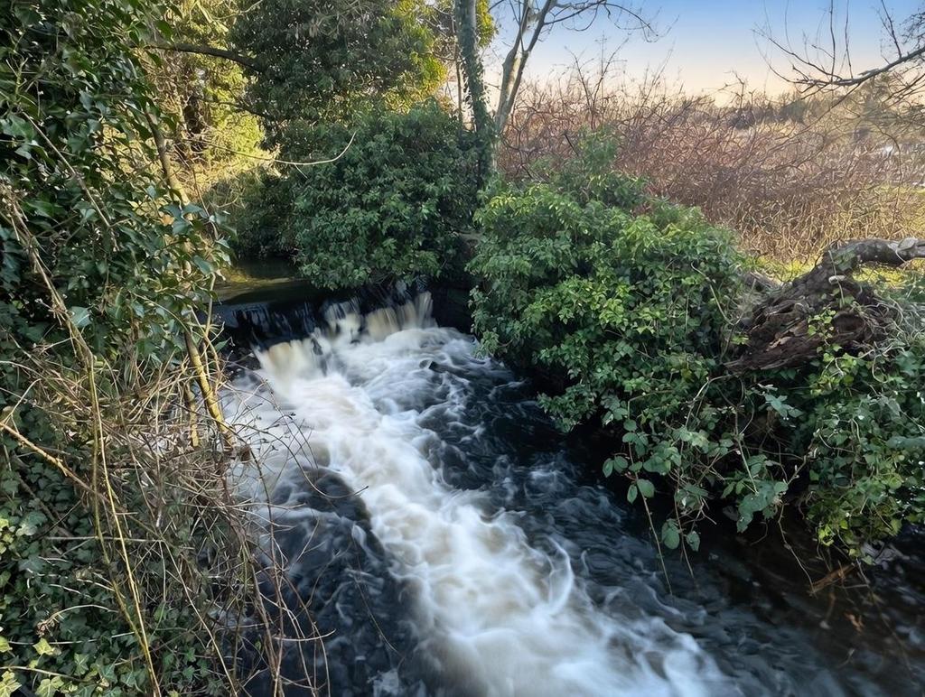 River View