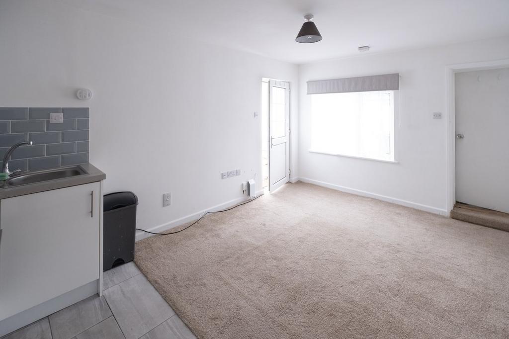 Studio kitchen/bedroom / living area