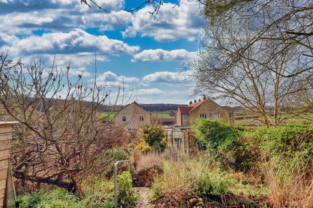 Picture No. 10