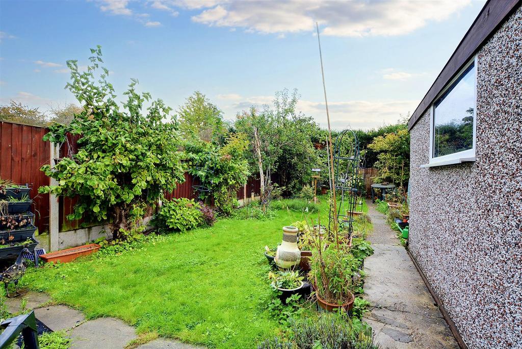 Garden 1.jpeg
