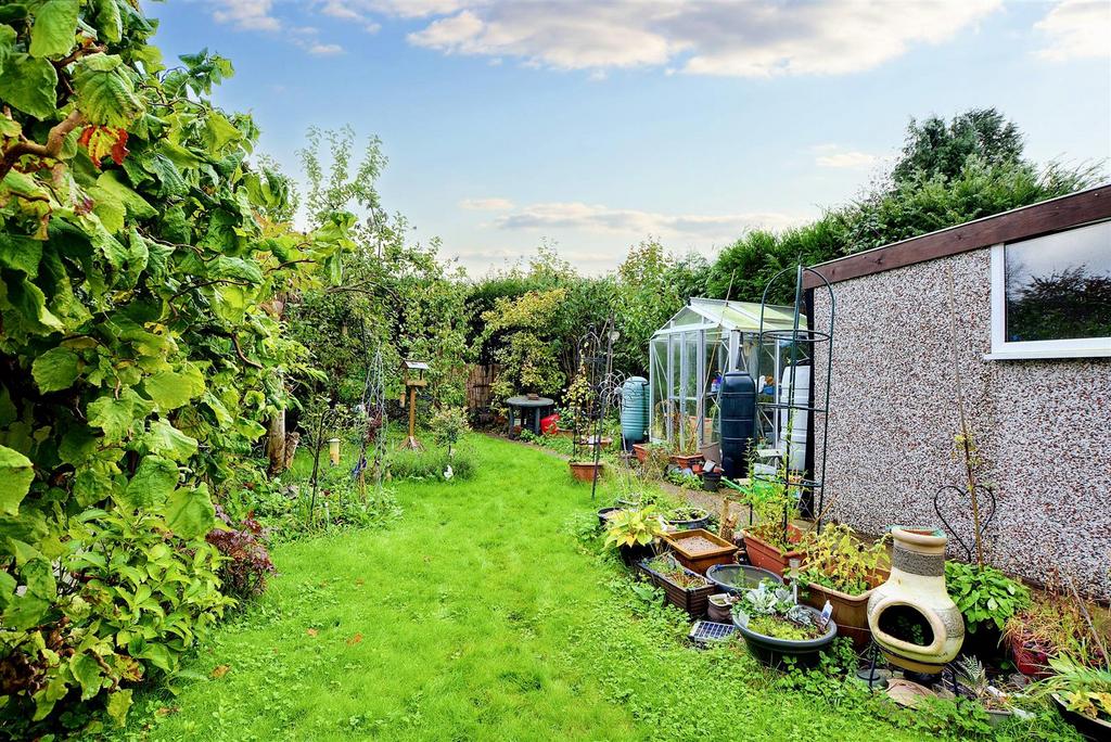 Garden 2.jpeg