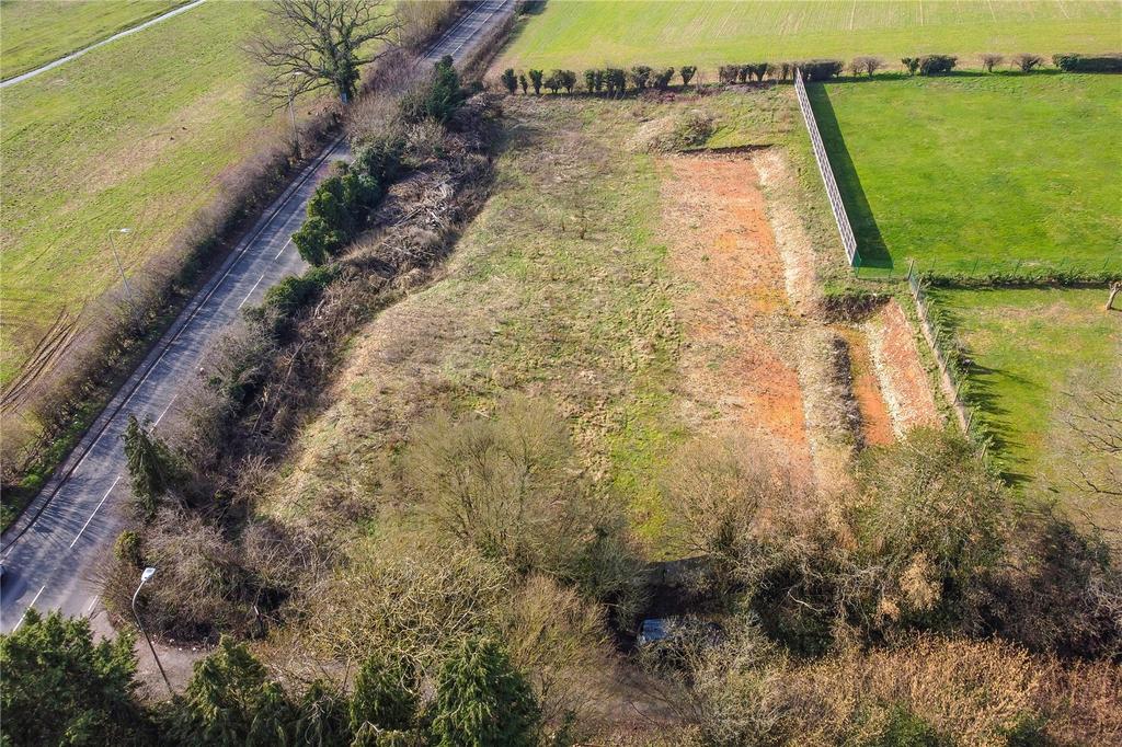Site