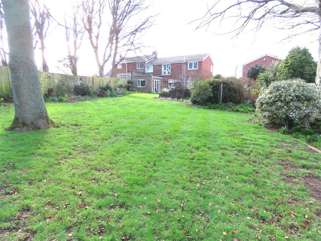 Rear garden
