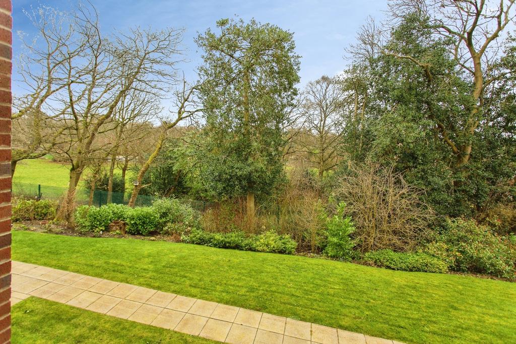 Garden view, garden