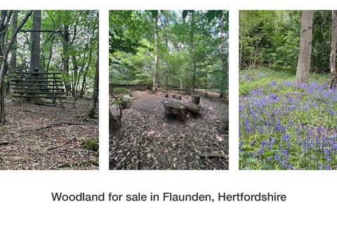 undefined, Plantation Wood, Flaunden, Hertfordshire HP3