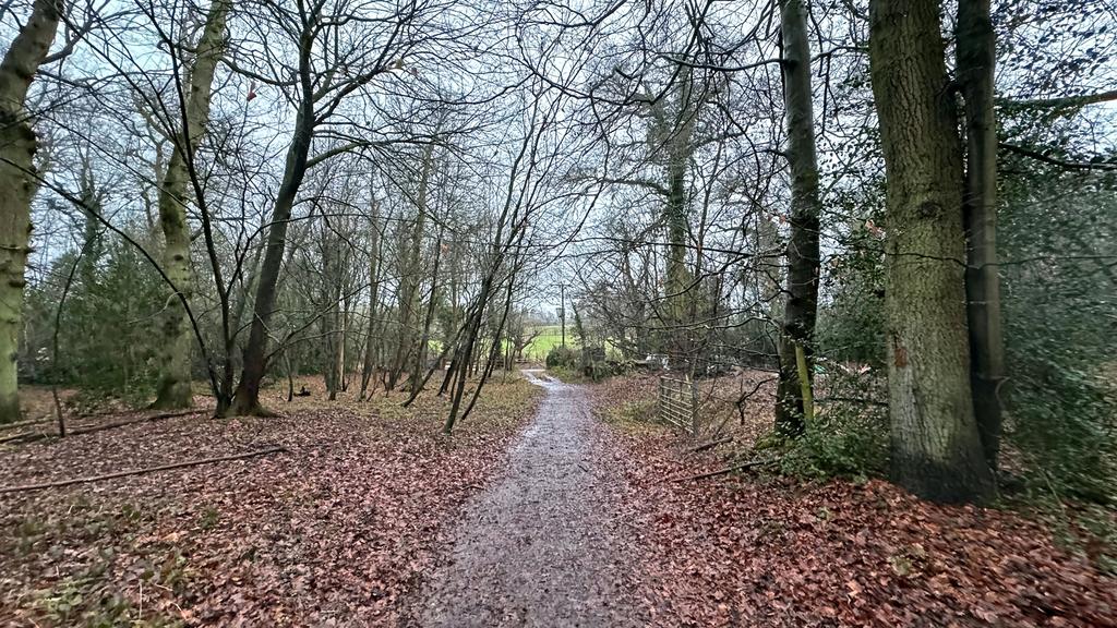 Full vehicular access to the woodland.
