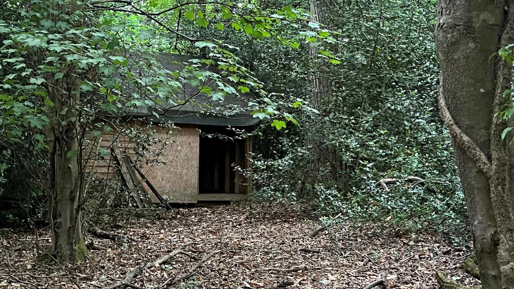 Wood store.