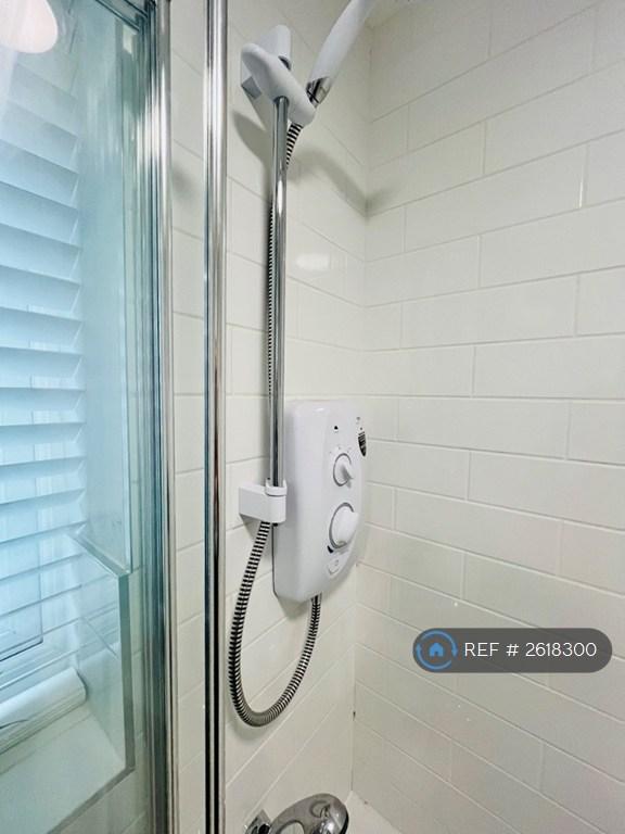 Electric Shower