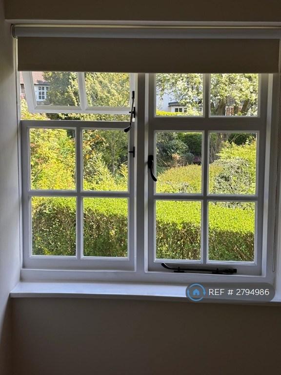 View From Bedroom 4
