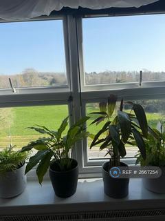 2 bedroom flat to rent, London Road, Brighton, BN1