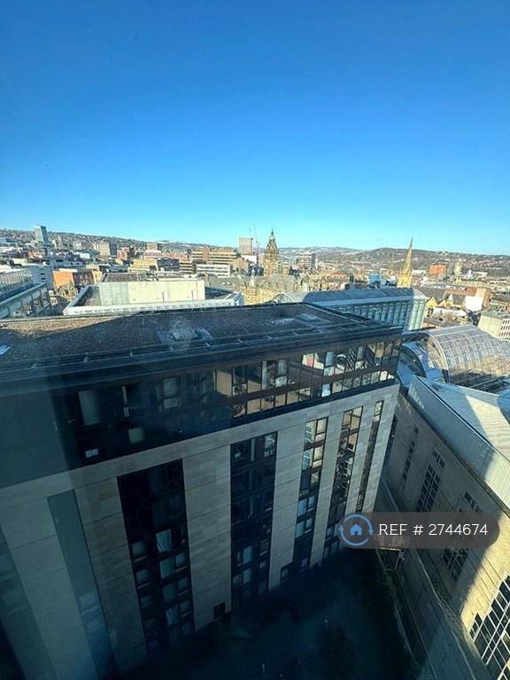 Gorgeous Views